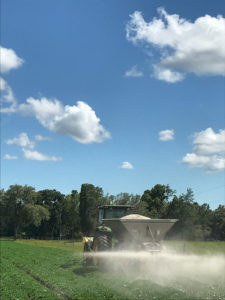 gypsum application in peanut