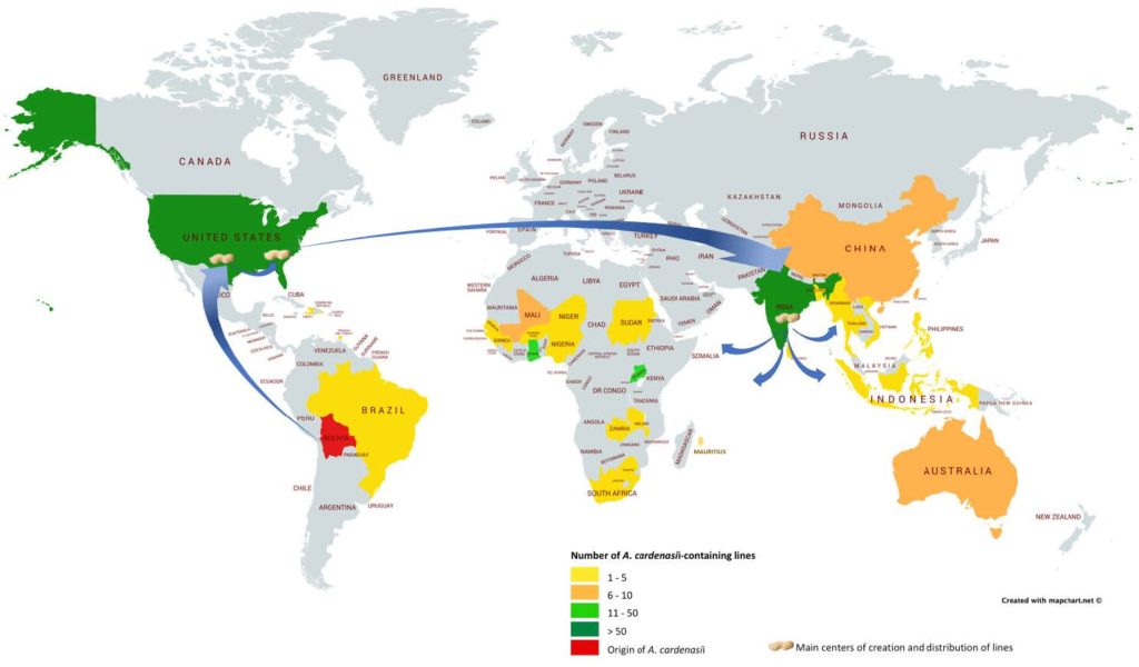wild peanut genetics map