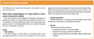 Peanut Producers Guide The following is an excerpt from the guide in the section on short-term preparedness. Short-term preparedness (1–7 days before a hurricane is forecast to strike) First and foremost, take whatever precautions necessary to protect your family, your employees and yourself. After that is accomplished, focus on protecting your farm. Once forecasters have put your area in a hurricane’s path, there are a number of precautions you should take to prepare. Crop ■ Harvesting If flooding is likely in certain fields, it is probably better to delay digging until after the hurricane has passed, since the peanut plants can float and be pushed by the wind across flooded fields. While freshly dug plants that are still green are less likely to be blown around by the wind, plants that have dried are more susceptible to be moved by wind and wind-blown rain. ■ Apply fungicides Consider application of fungicide to slow epidemics that could develop from pathogens and subsequent disease. ■ Pivots Park pivots in locations that are: — Accessible to repair in case they topple. — Away from low-lying areas that could flood. — Away from areas where trees and other debris could impact systems.